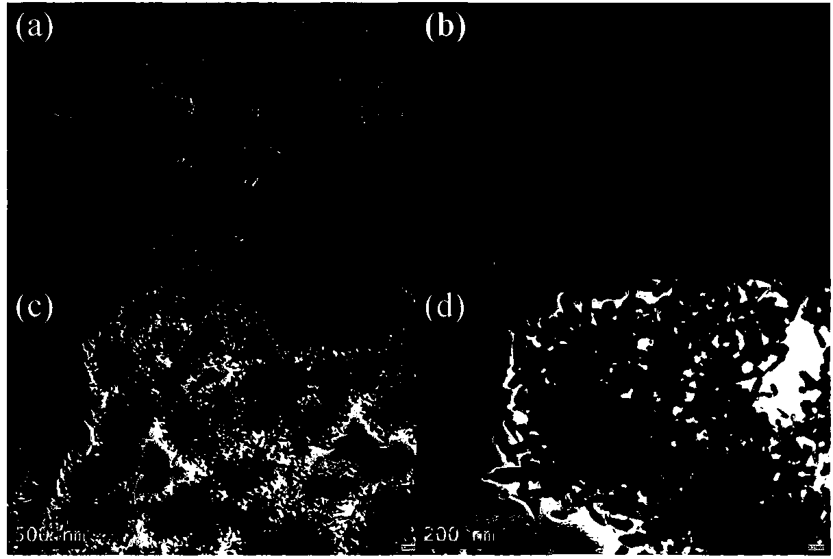 Dye-sensitized solar cell