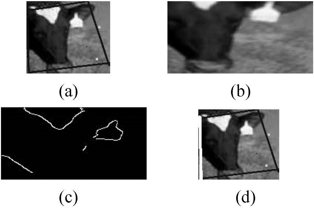 Forage Feed Detection System and Method Based on Machine Vision