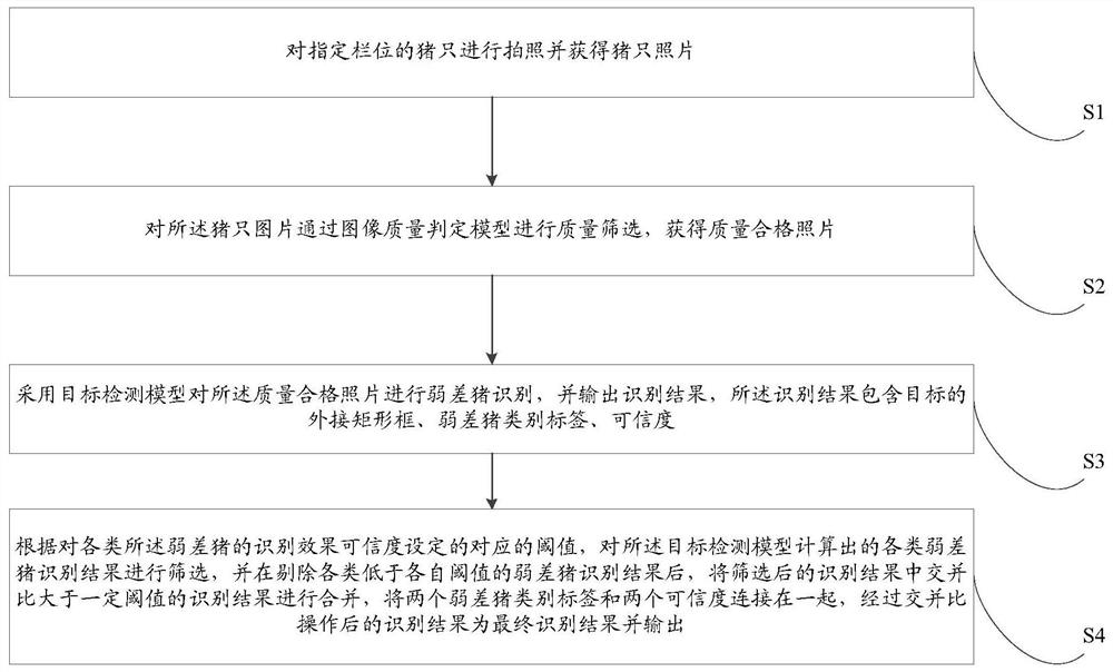 Method and system for automatically detecting and marking weak pigs