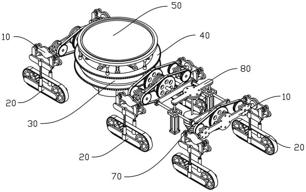 Sapling planting device