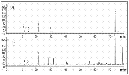 Quality control method and application of baccharis type propolis