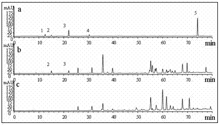 Quality control method and application of baccharis type propolis