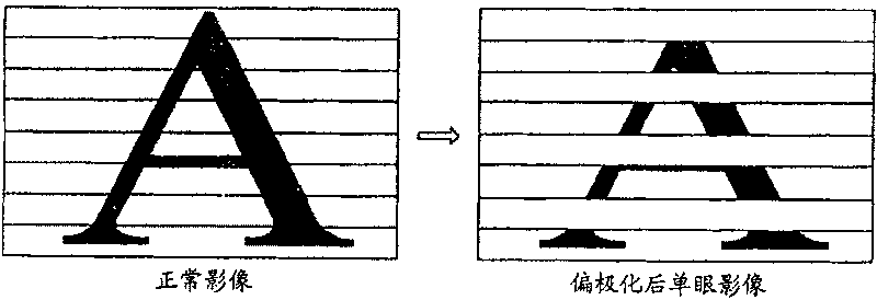 3D video display method and display system using this method