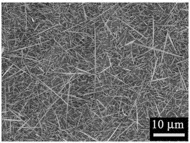 Large-area growing method for single crystal titanium dioxide nano rod and application of nano rod