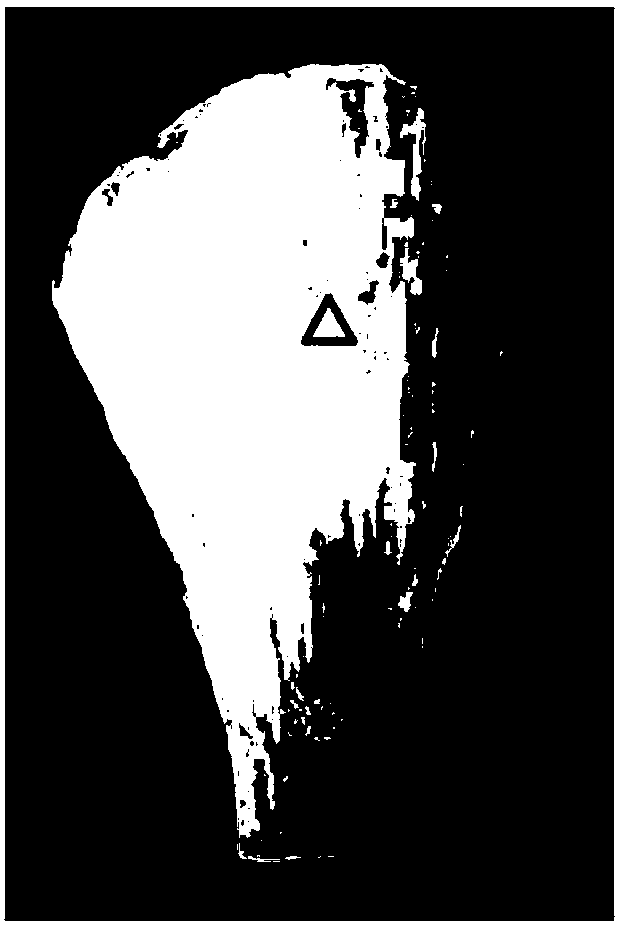 Method for preparing tendon composite muscle decellularized material derived from natural tissue