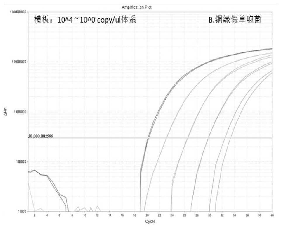 Multiplex fluorescent quantitative probe method PCR (Polymerase Chain Reaction) kit for detecting urethral pathogen infection