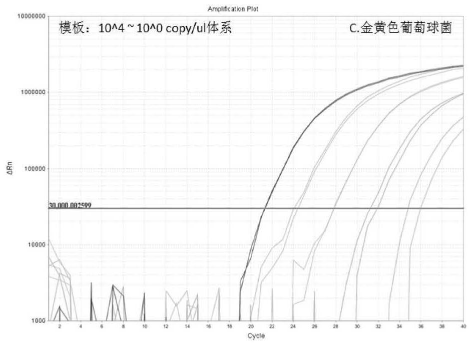 Multiplex fluorescent quantitative probe method PCR (Polymerase Chain Reaction) kit for detecting urethral pathogen infection