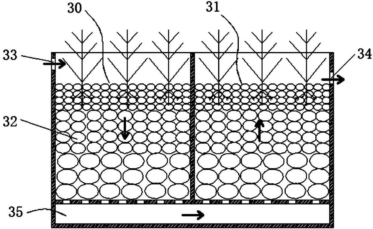 Double-circulation seawater prawn comprehensive breeding system