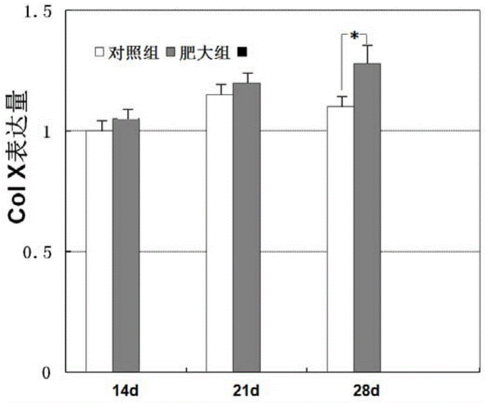 Tissue-engineered bone based on entochondrostosis system and construction method thereof