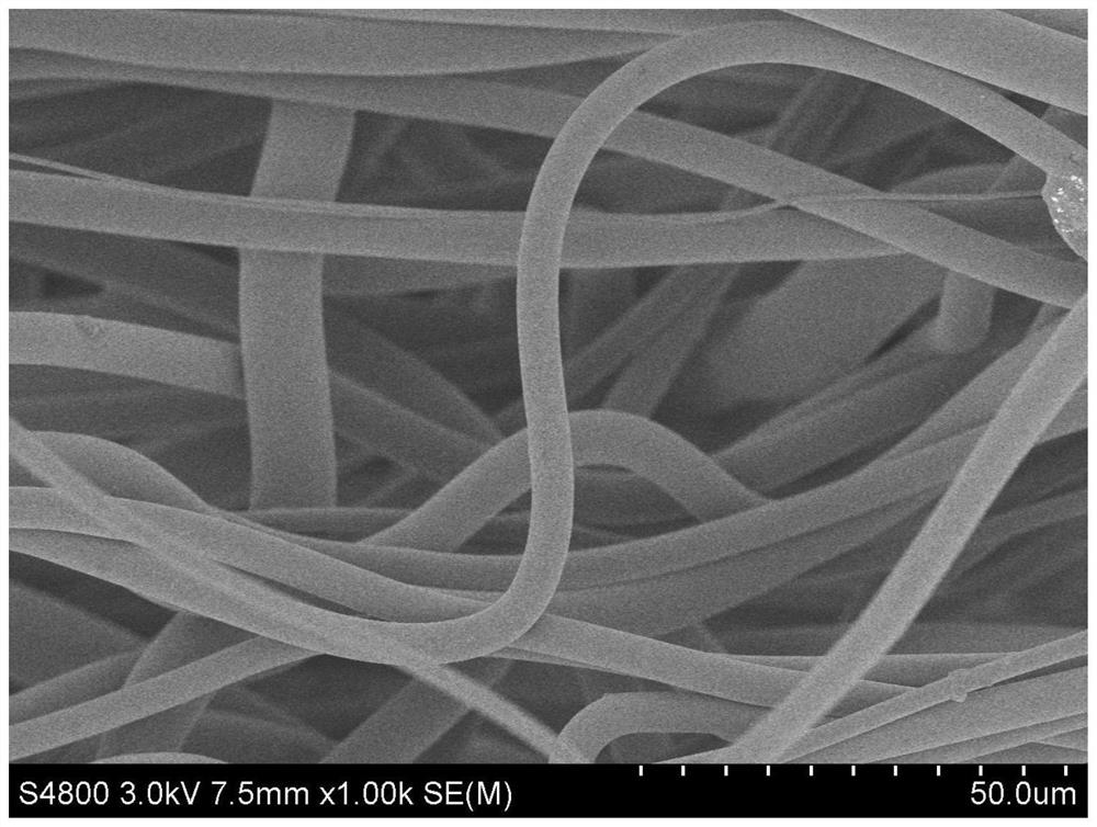 A kind of ectfe meltblown film and preparation method thereof