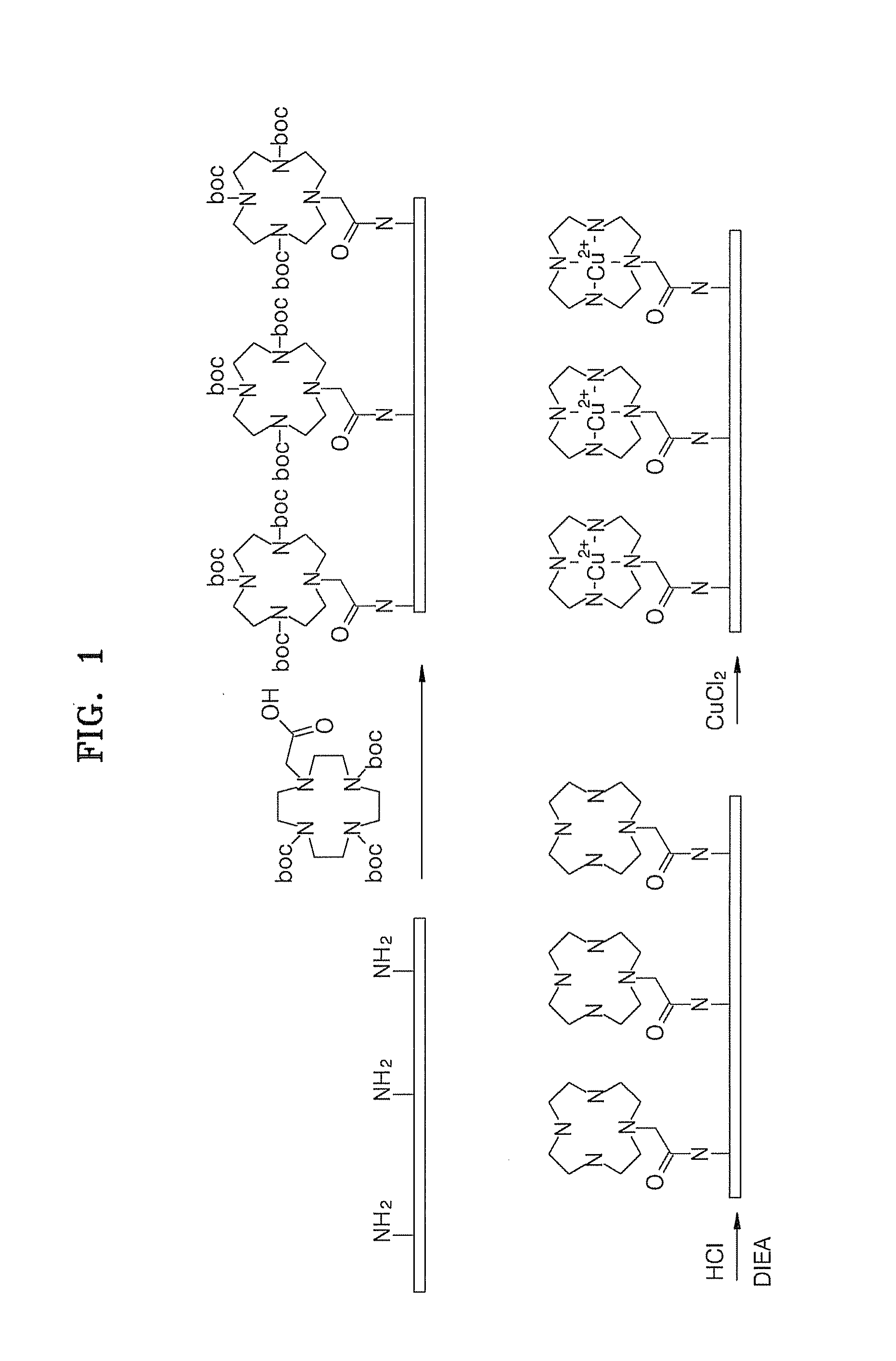 Cell lysis method by immobilized metal-ligand complex