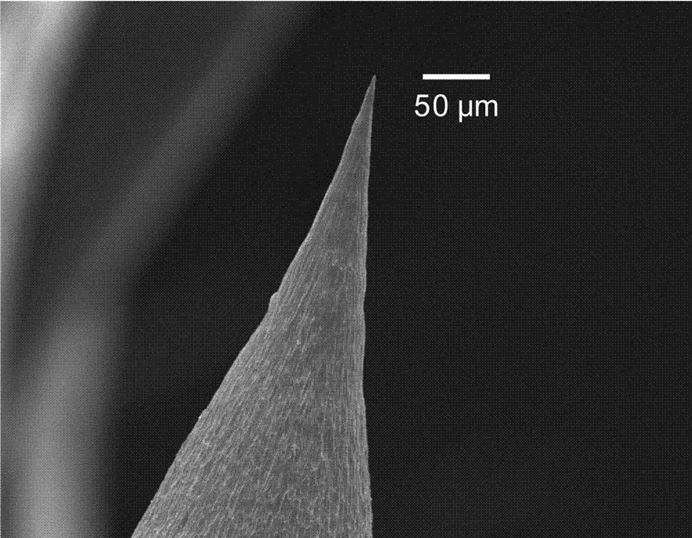 Device and method for preparing metal needle point