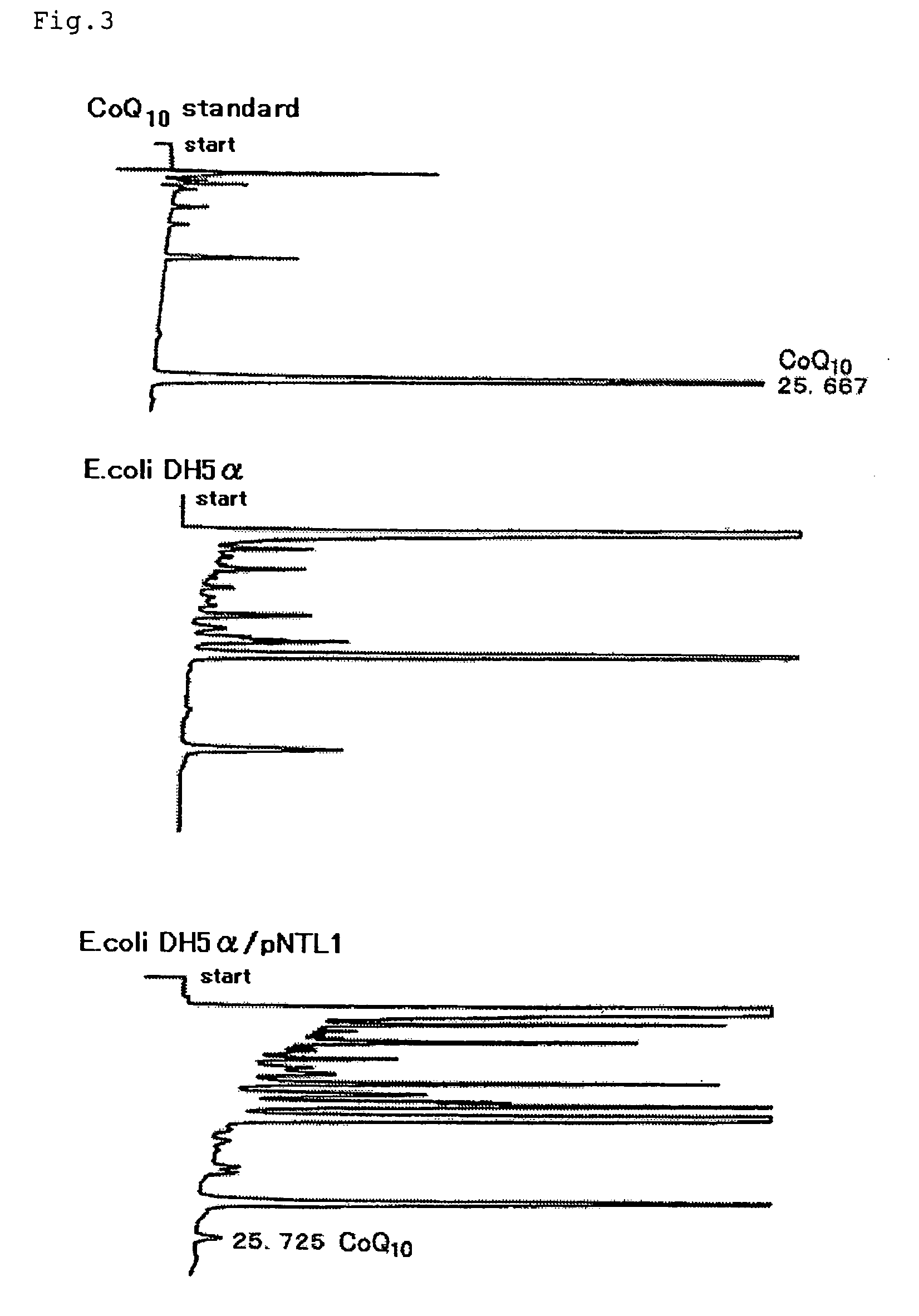 Process for producing coenzyme Q<sub>10 </sub>