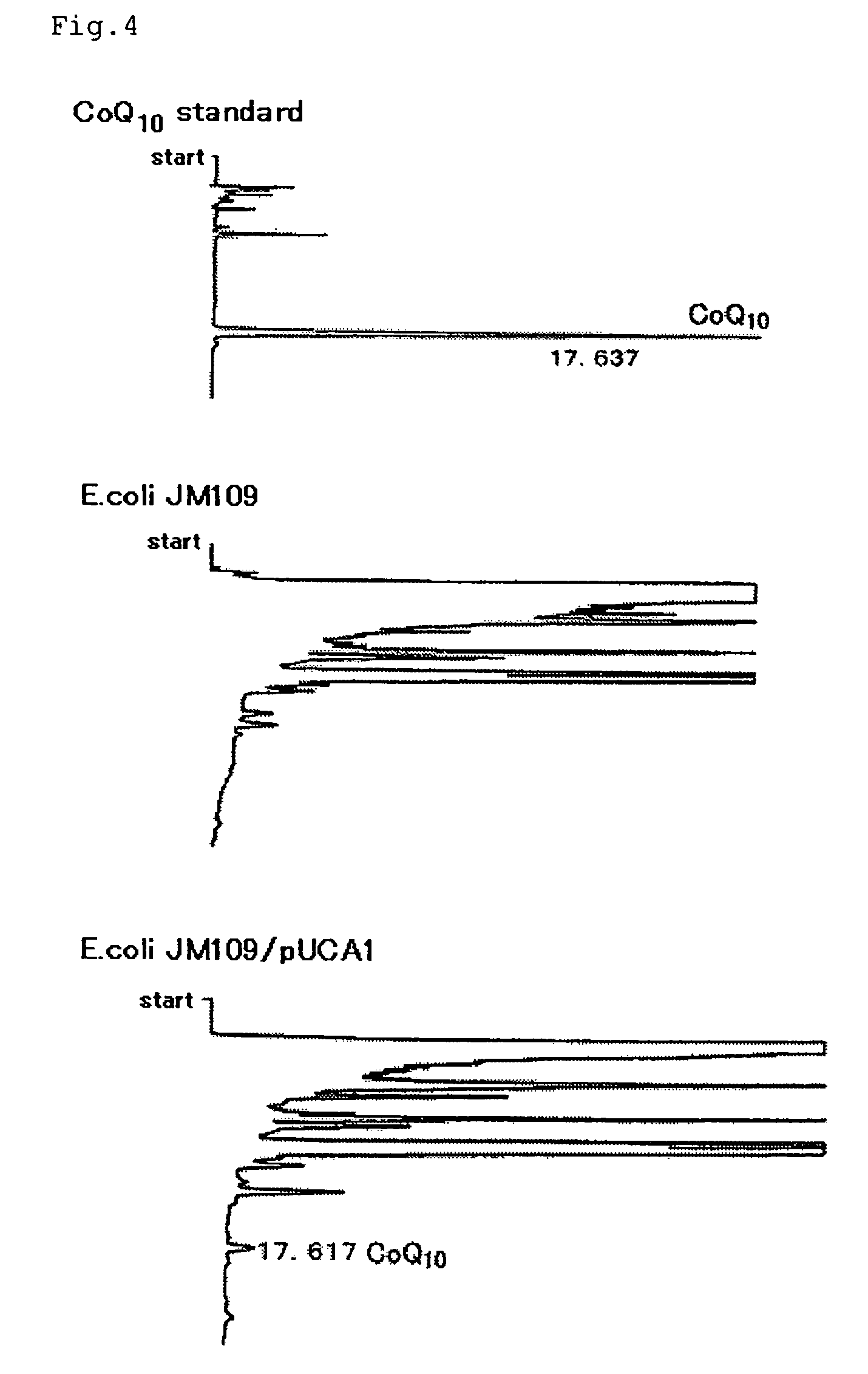 Process for producing coenzyme Q<sub>10 </sub>