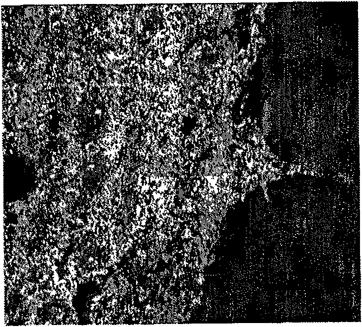 Method for welding foamed aluminium and aluminium alloy using solder capable of foaming