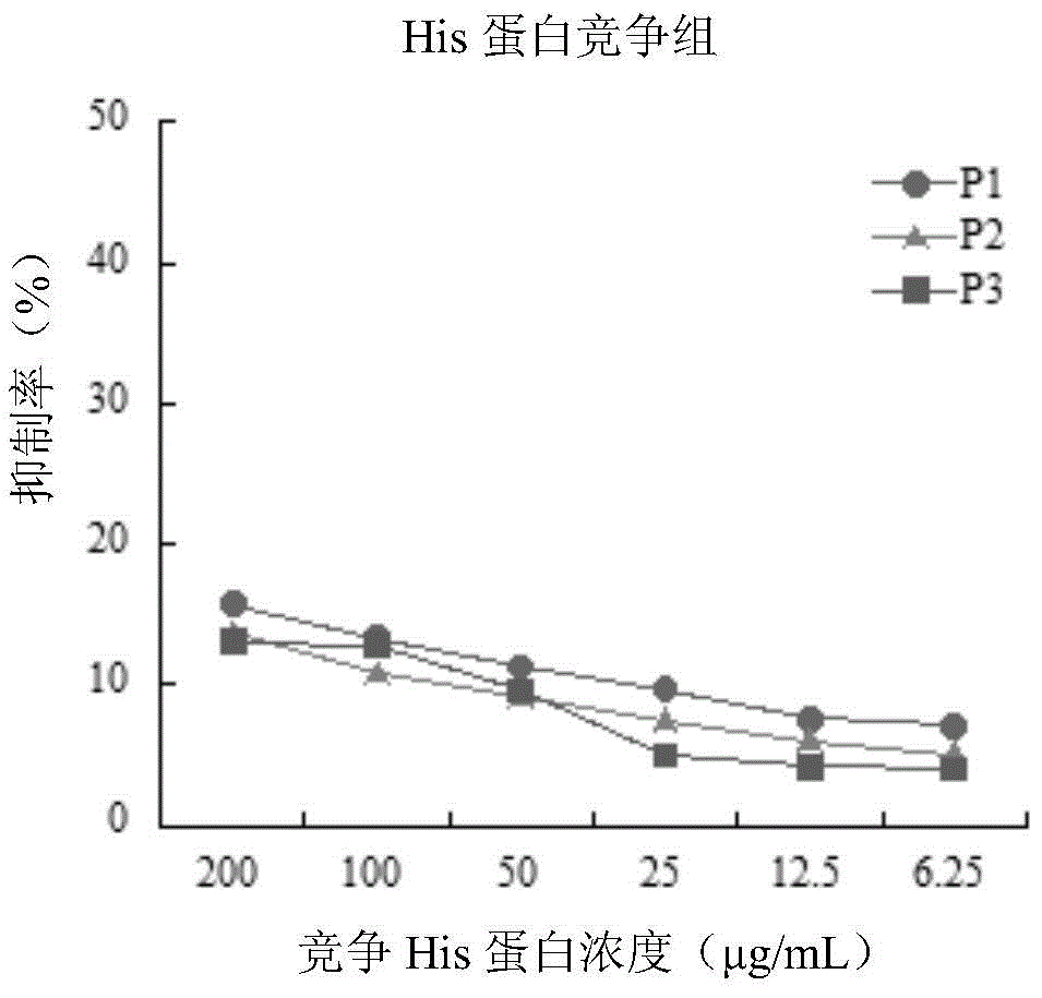 Vibrio mimetic ompu adhesin protein binding peptide with adhesion antagonistic activity, polypeptide composition and application thereof