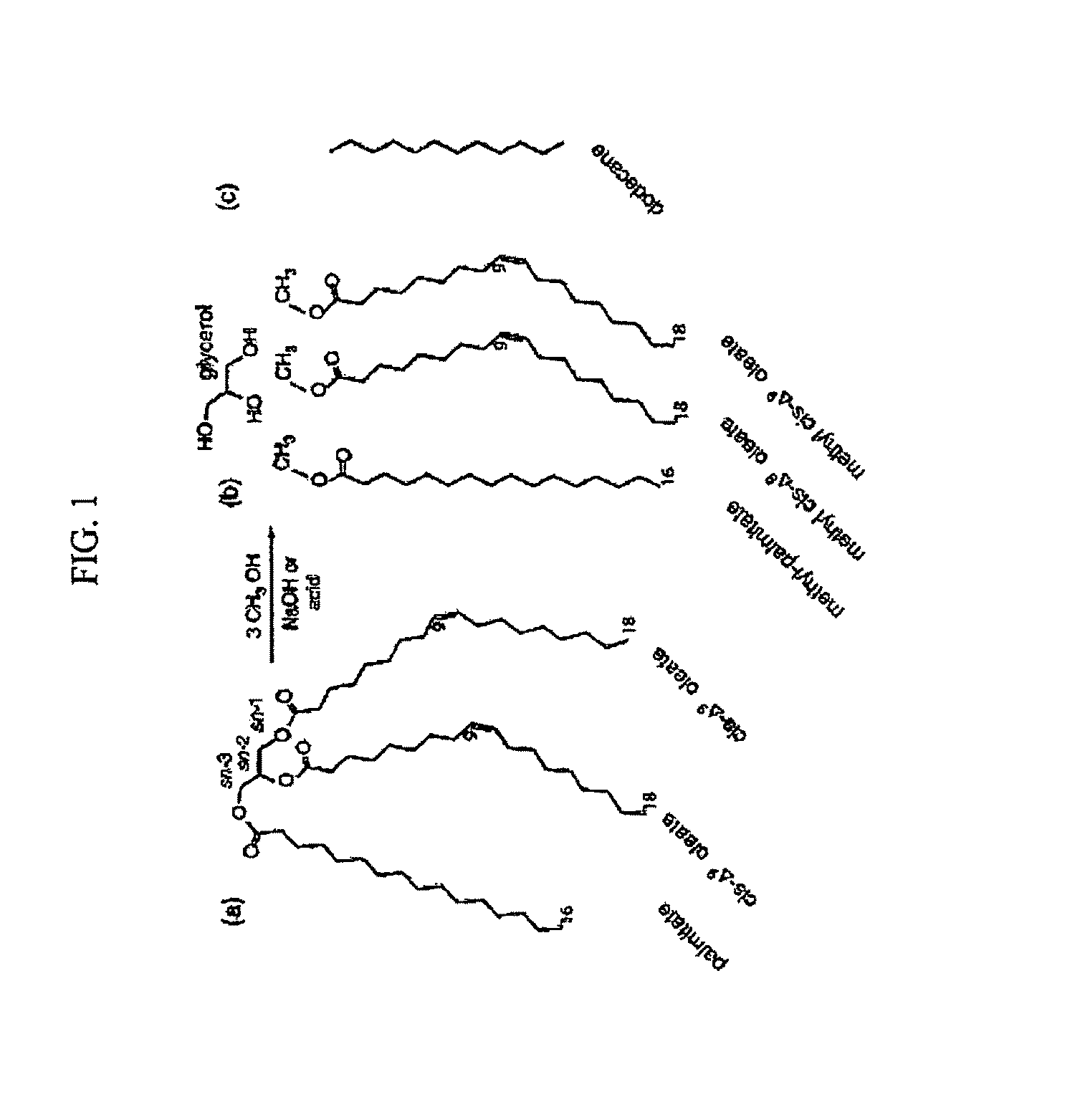 Method to produce acetyldiacylglycerols (ac-TAGs) by expression of an acetyltransferase gene isolated from <i>Euonymus alatus </i>(burning bush)