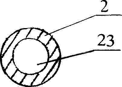 Instant New-year-cake processing method and its extruding-formation apparatus