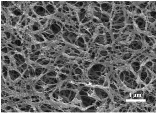 Preparation method of magnetic composite hydrogel for copper ion adsorption