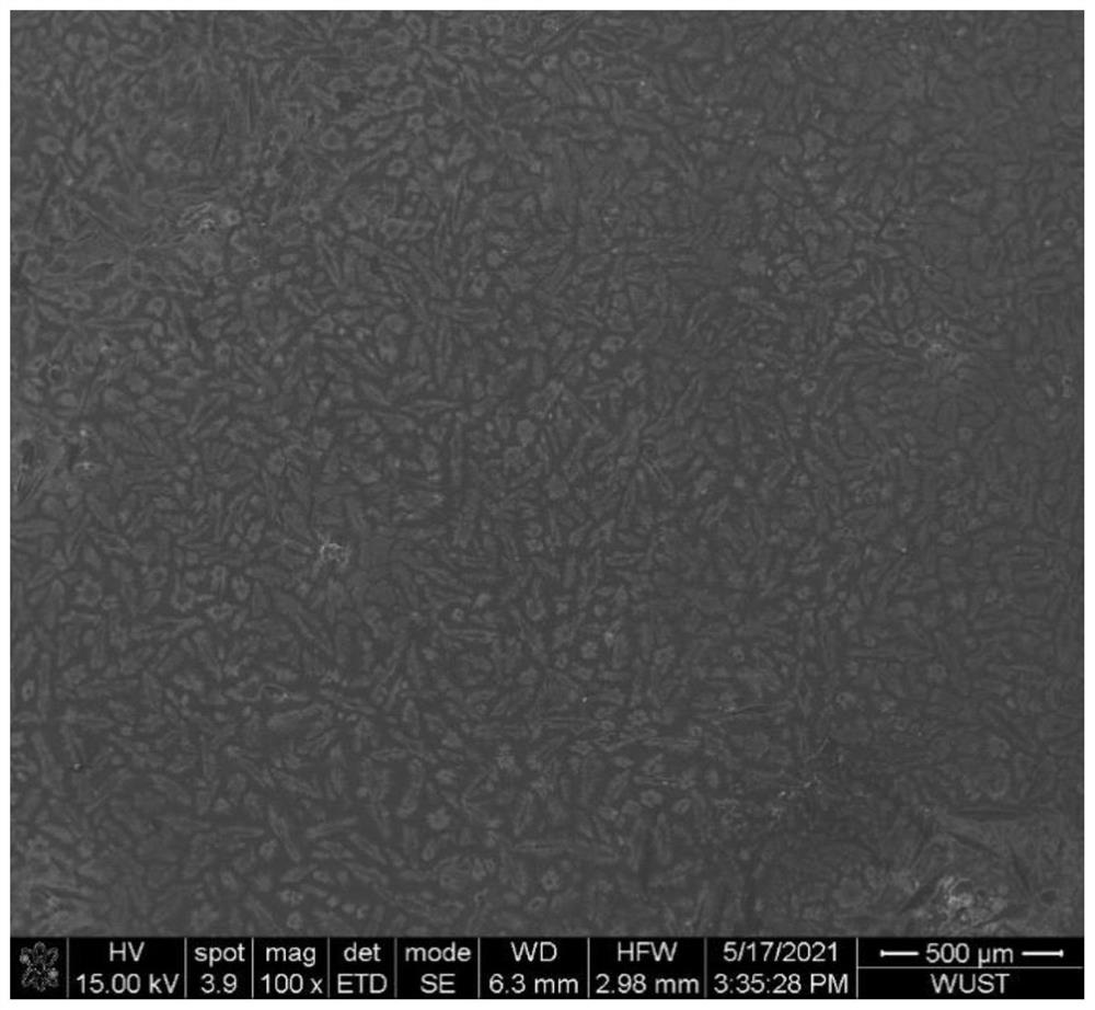 High-temperature-resistant semi-coke dust suppressant and preparation method thereof