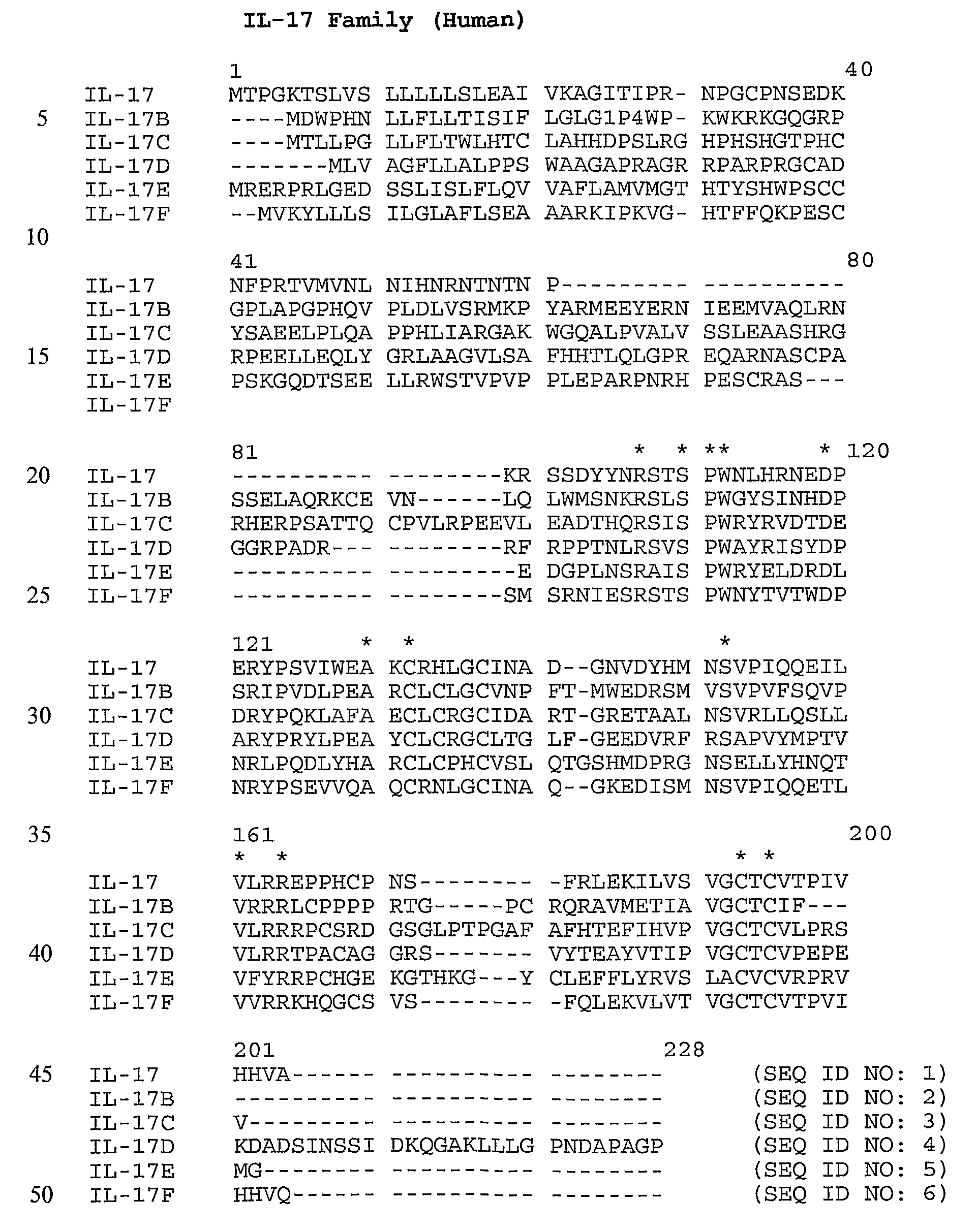 Anti-IL-17 Antibodies