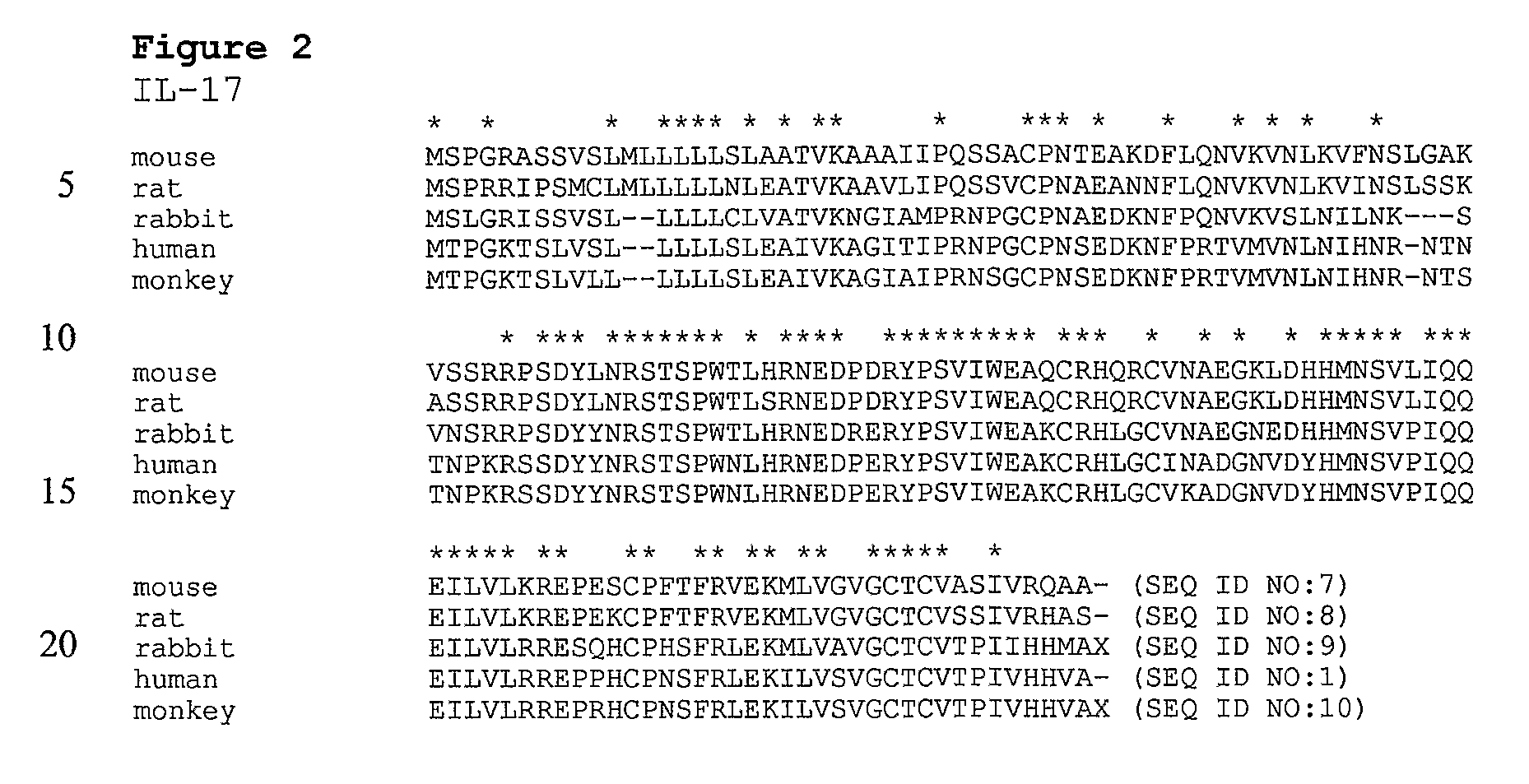 Anti-IL-17 Antibodies