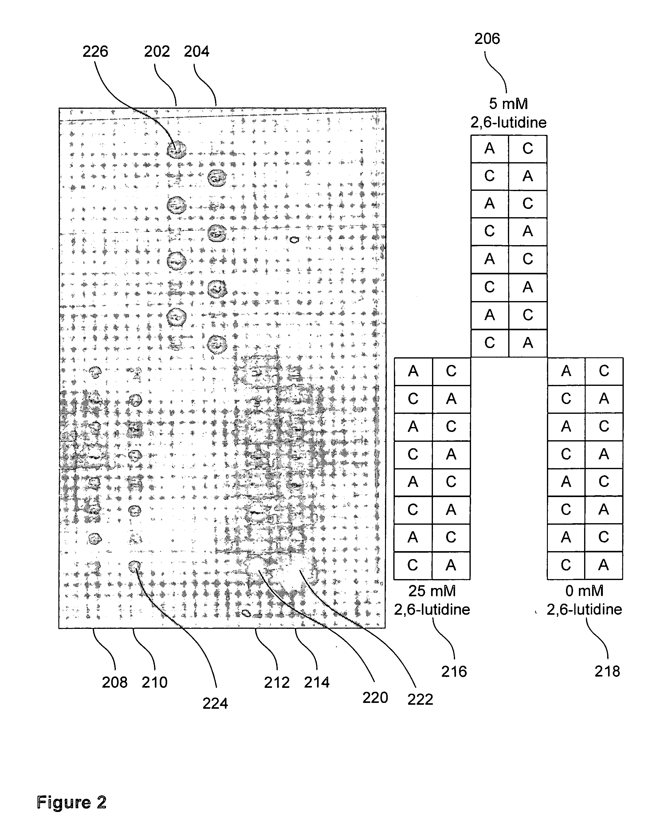 Electrochemical deblocking solution for electrochemical oligomer synthesis on an electrode array