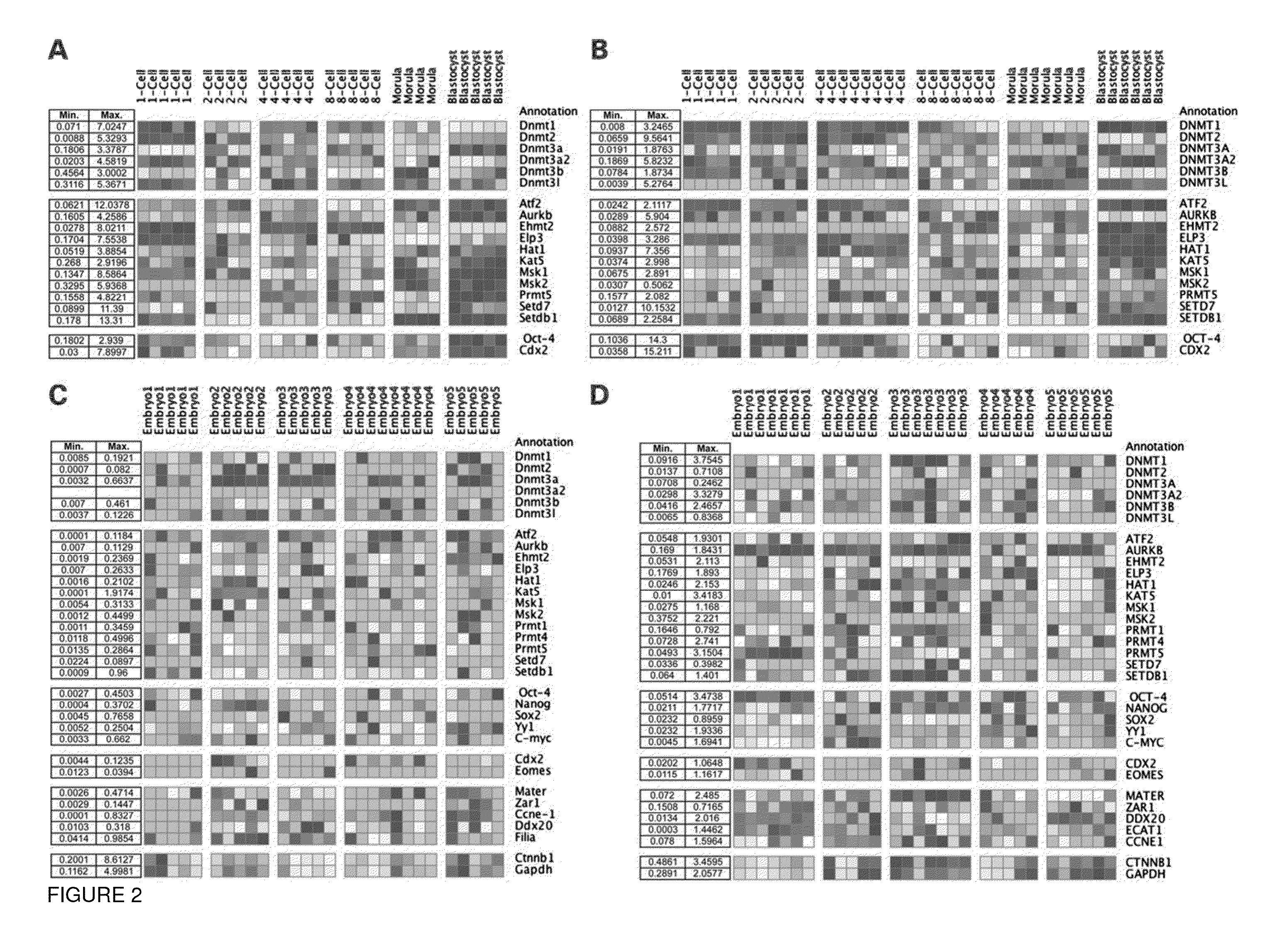 Markers for the detection of human embryo developmental quality