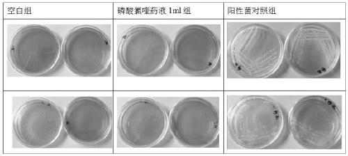 A kind of chloroquine antibacterial disinfectant and application thereof