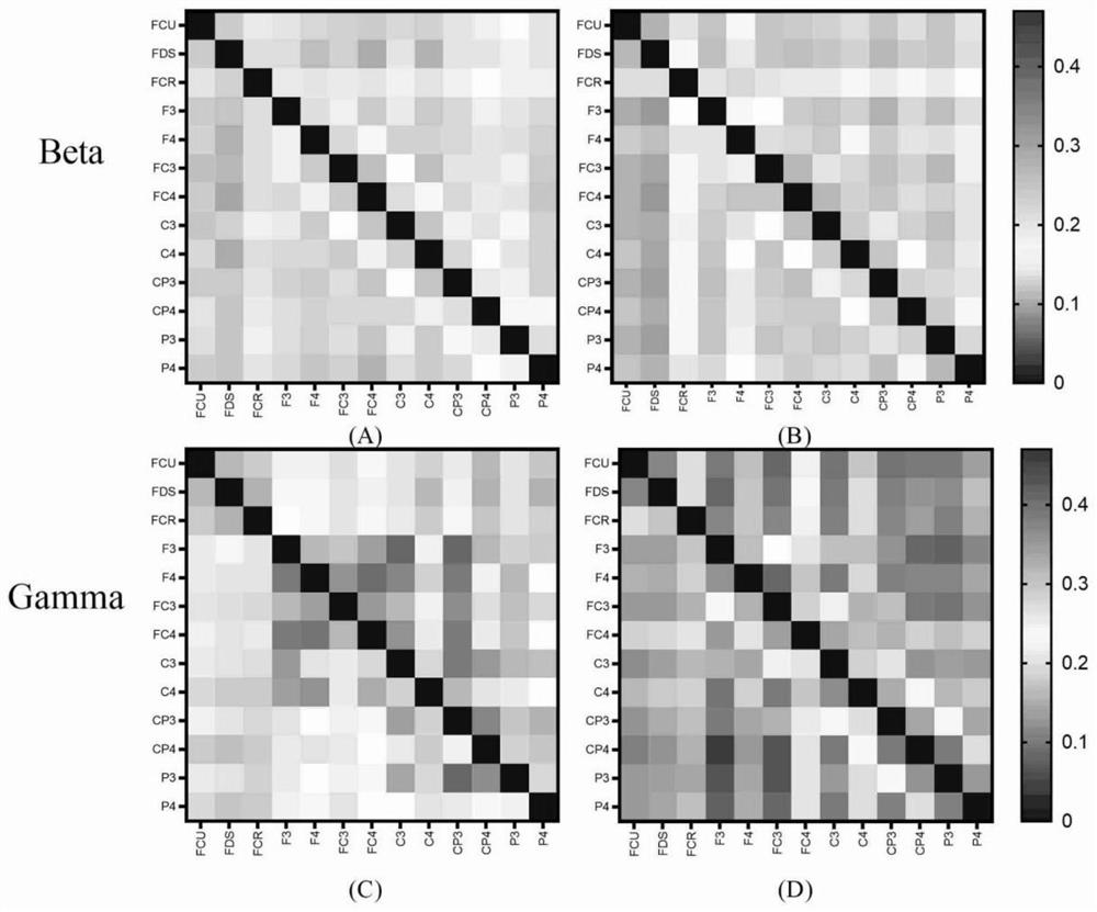 Brain muscle function network motion fatigue detection method based on symbolic transfer entropy and graph theory