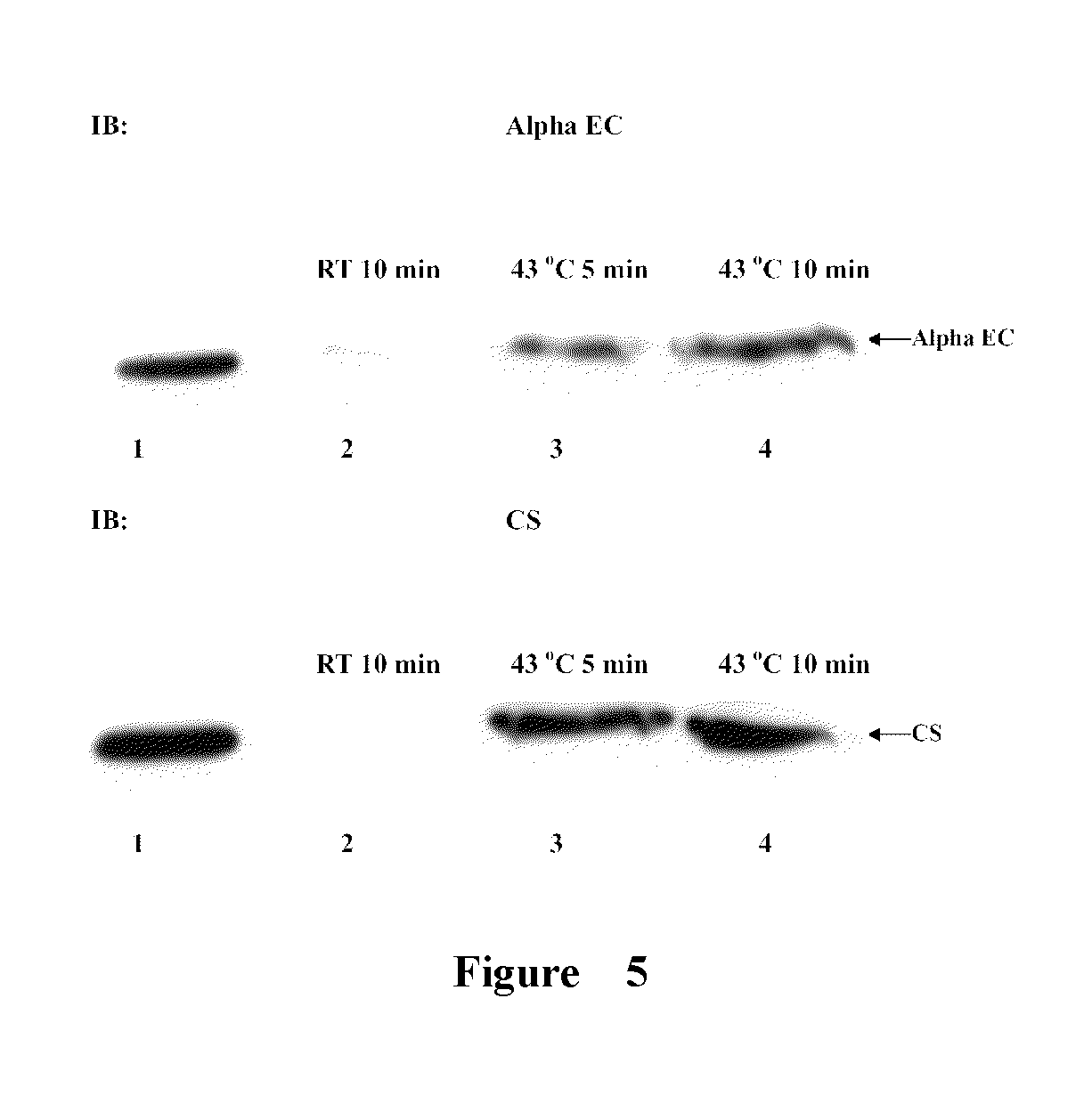 Novel application of fibrinogen-420 and its active domain