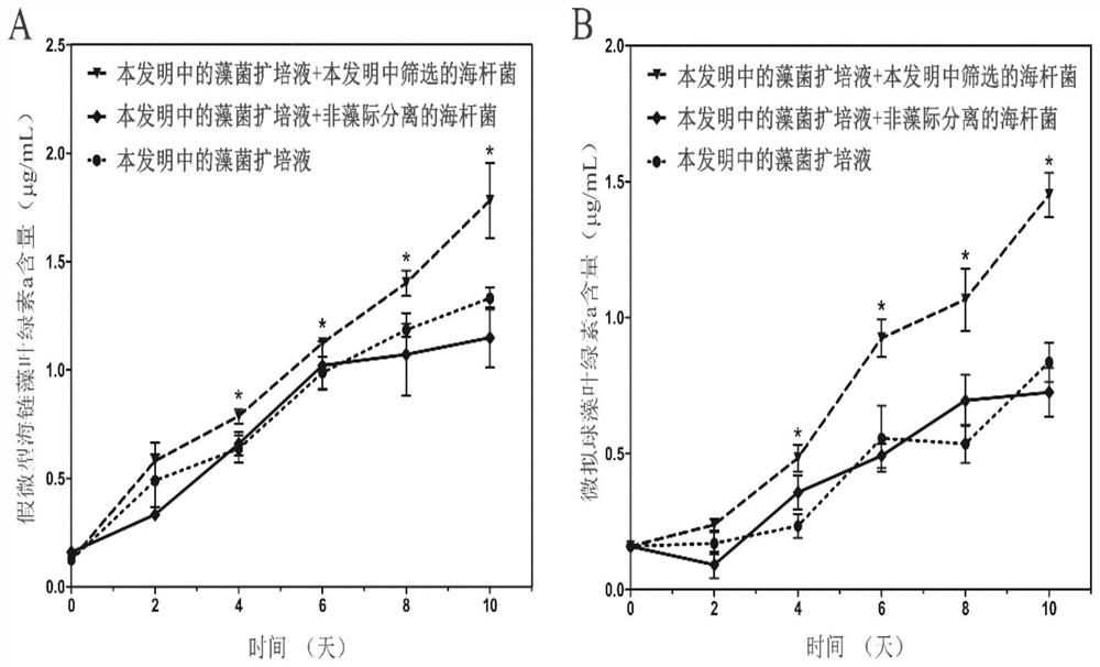 Method for promoting propagation of bait microalgae