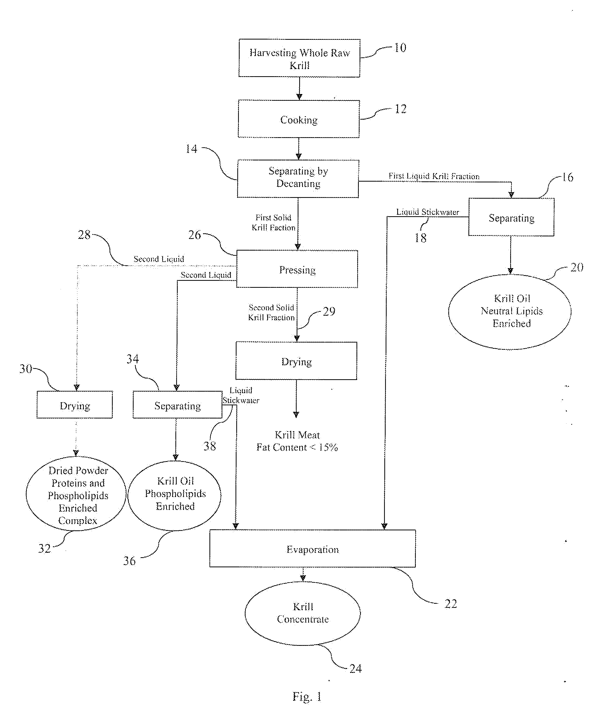 Solvent-free process for obtaining phospholipids and neutral enriched krill oils