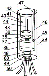 Apparatus for sampling and analyzing living body in department of gastroenterology