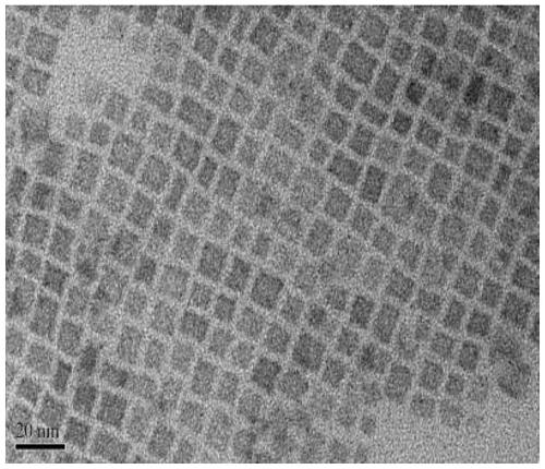 Low-temperature rapid preparation method of perovskite luminescent material formamidine lead bromide nanocrystals