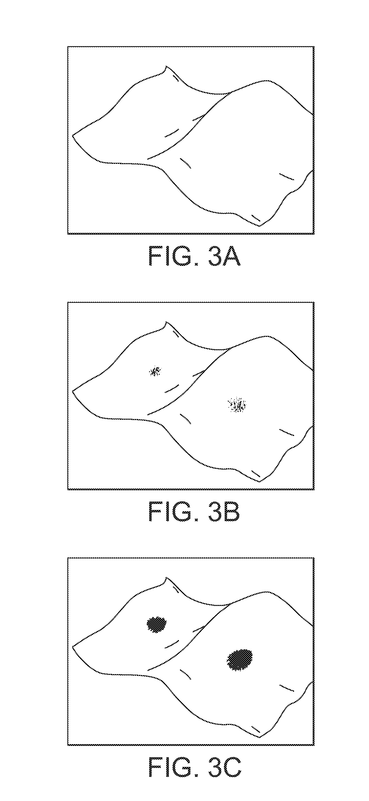 Aqueous-Triggered Color-Appearing Inks