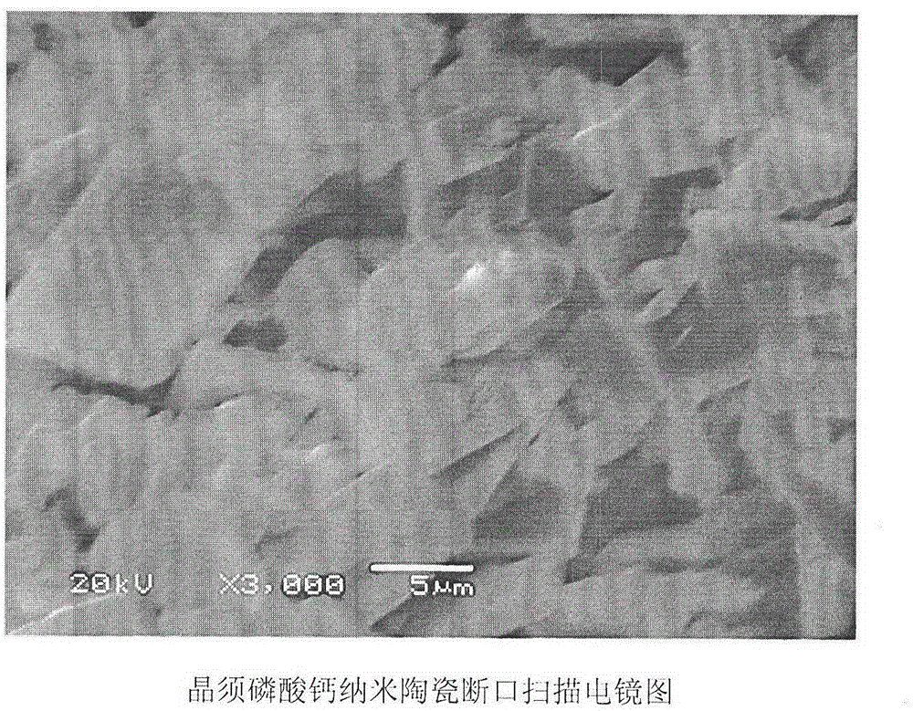 Alumina whisker preparation method