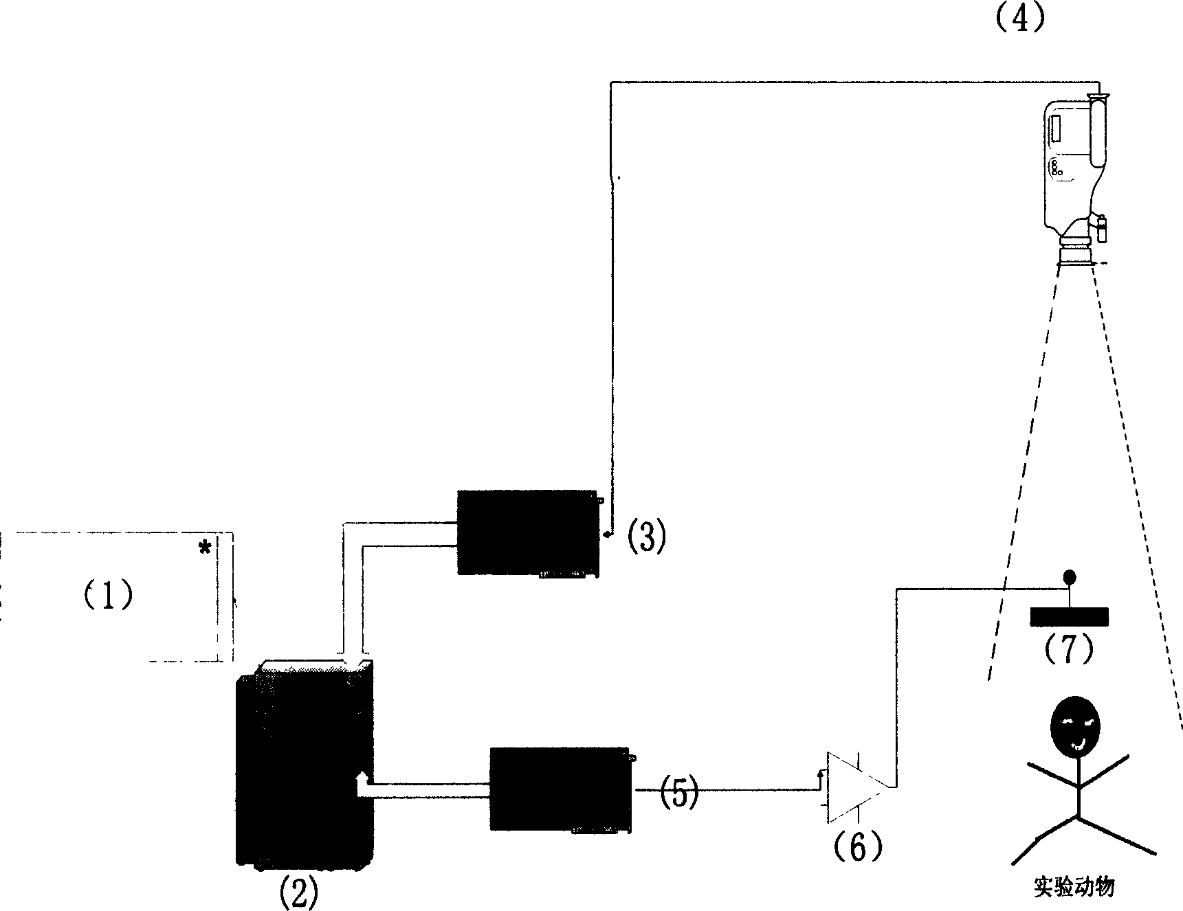 Experimental animal behavior and electrophysiological signal synchronous recording system