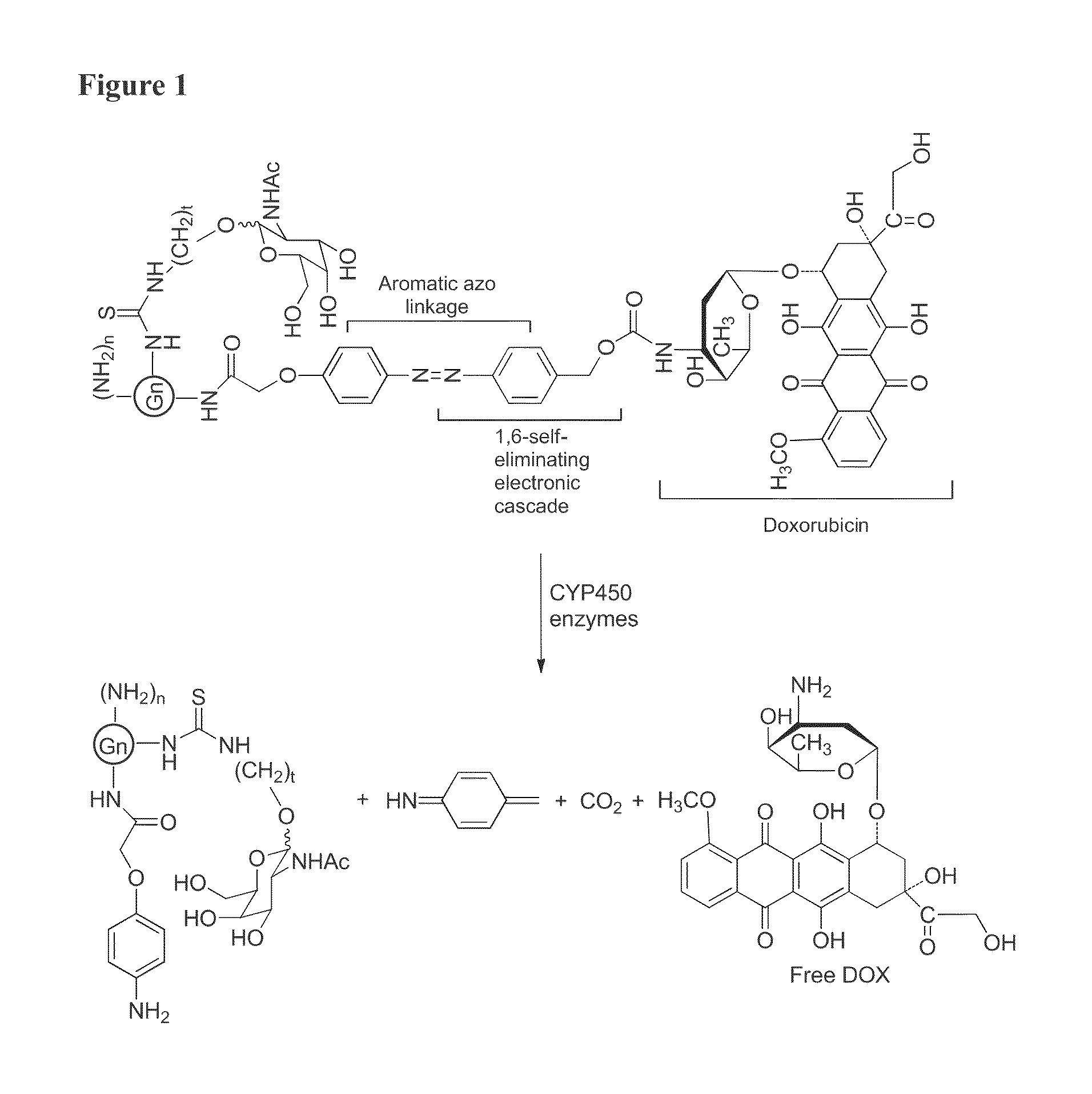 Targeted dendrimer-drug conjugates