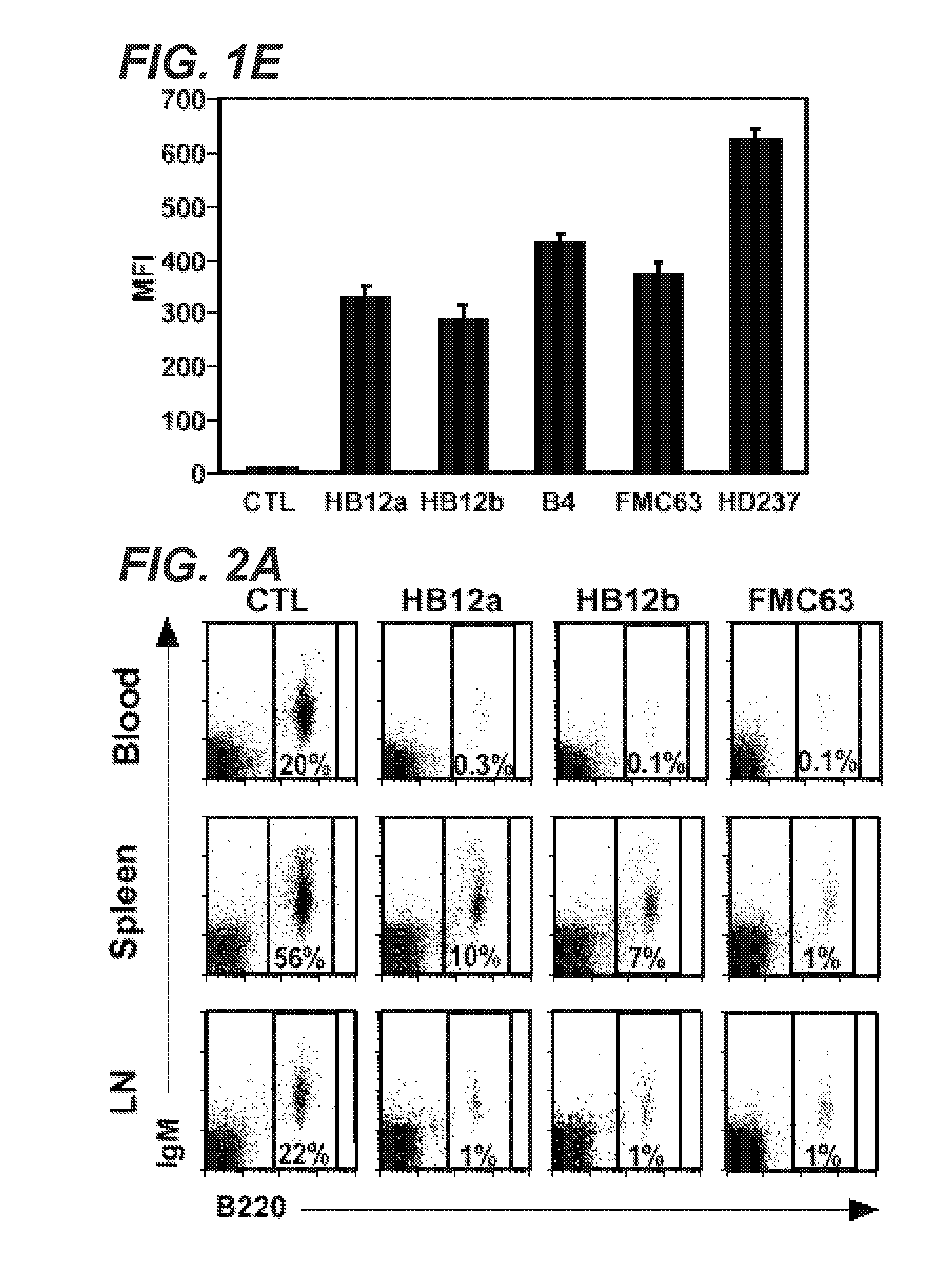 Anti-cd19 antibodies and uses in b cell disorders