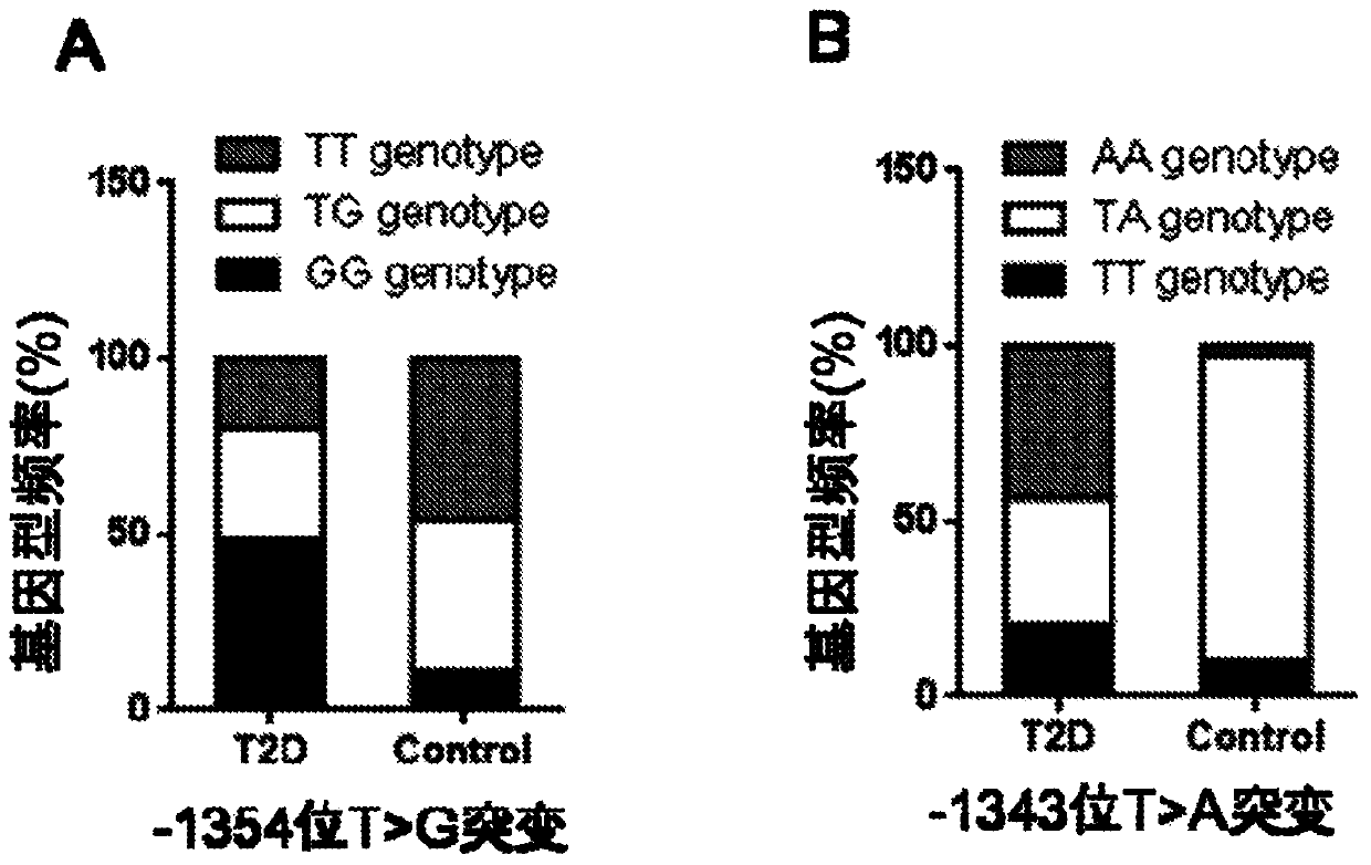 PCR-RFLP method for detecting single nucleotide polymorphism of gene CREB 1