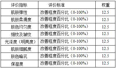 Anti-aging lotion and preparation method thereof