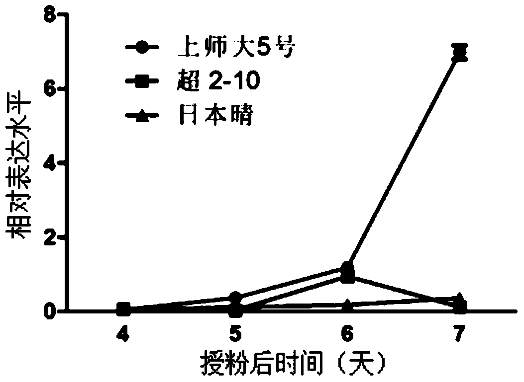 A gene sequence and its application