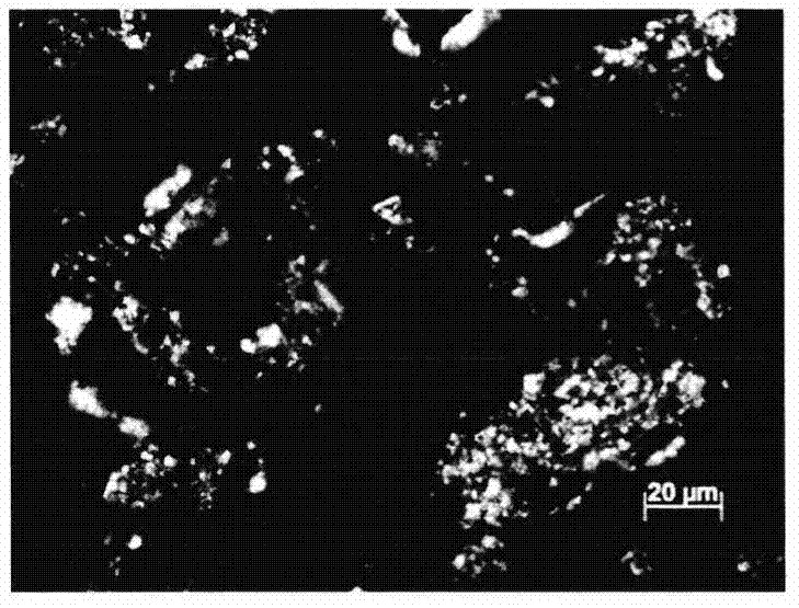 An Intuitive Detection Method Based on Polarized Light Microscopy for Adsorbed Lipids on Montmorillonite