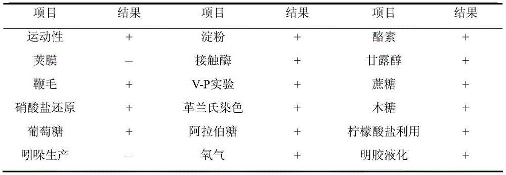 Bacillus subtilis yielding mesothermal alpha-amylase