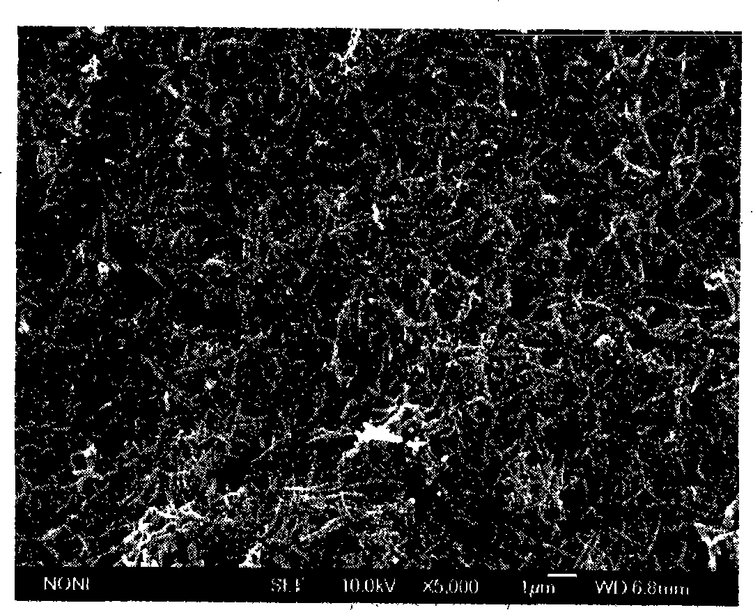 Composite electrode and method for preparing high purity polyaniline nanometer line