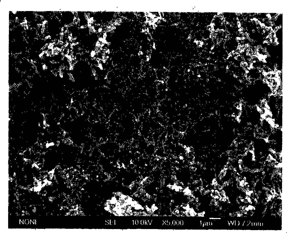 Composite electrode and method for preparing high purity polyaniline nanometer line