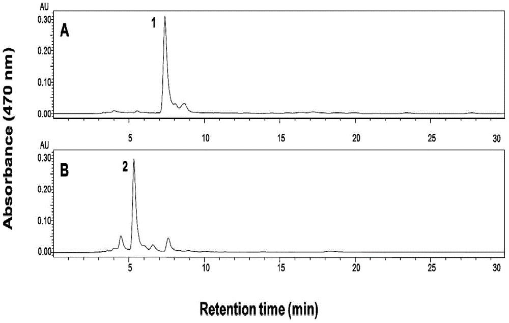 Application of hydroxylase gene Dr2473 to catalytic synthesis of microorganisms