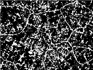 Method for refining metal structure in oxide metallurgy by utilizing pulsed magnet field