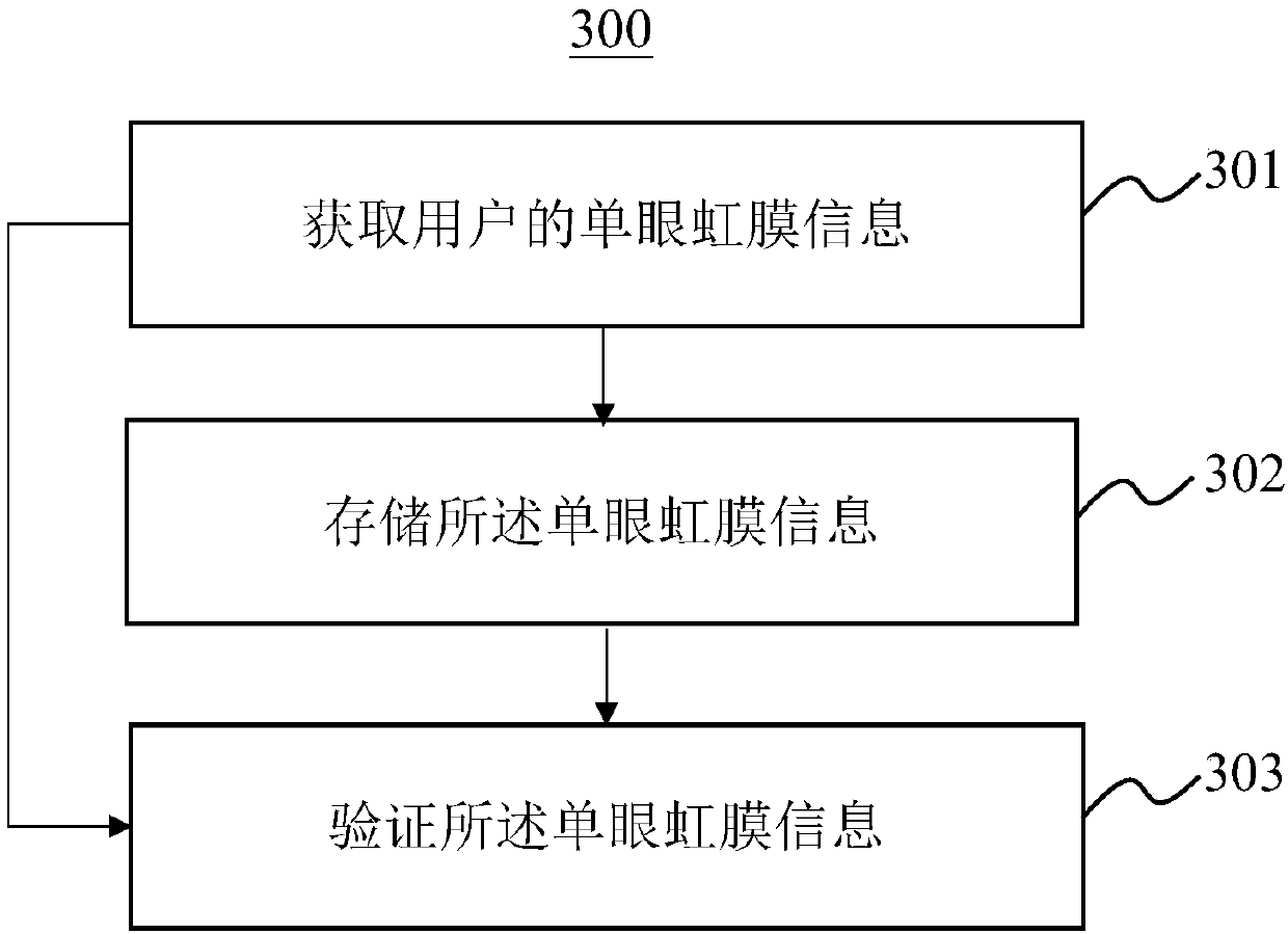 Monocular iris verification method and system